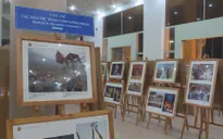 Khai mạc Triển lãm ảnh và phim phóng sự - tài liệu về ASEAN năm 2019