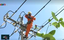 Ngành điện góp phần xây dựng chính sách pháp luật thông qua đại biểu Quốc hội