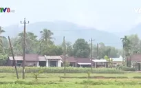 Bình Định: Nhiều hộ dân chủ động xin thoát nghèo