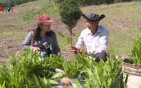 Sau nắng hạn, người dân thiếu vốn trồng lại rừng
