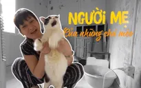 Người mẹ đặc biệt của những chú mèo