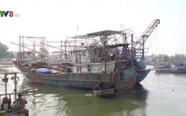 Lối thoát nào cho tàu cá Nghị định 67 đang nằm bờ