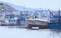 Đấu giá tàu cá để xử lý nợ vay theo Nghị định 67