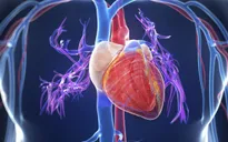 Điều tra dịch tễ thông tin "virus" gây bệnh viêm cơ tim