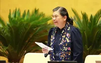 Giám sát việc thực hiện các Hiệp định thương mại tự do mà Việt Nam là thành viên