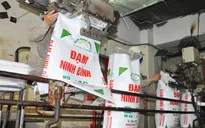 Phân bón Việt chinh phục thị trường ngoại