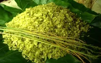 Điểm hẹn 10h: Hương cốm Hà Nội
