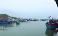 Khánh Hòa ứng phó với bão số 5