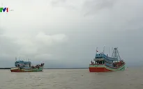 Xử lý nghiêm tàu cá vi phạm vùng biển nước ngoài