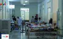 Báo động ký sinh trùng sốt rét kháng thuốc lưu hành tại Việt Nam