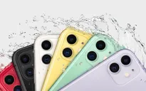 Apple sẽ sản xuất thêm 8 triệu chiếc iPhone 11