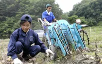 Ngành nông nghiệp tại Fukushima hồi sinh