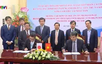Nhật Bản mở rộng tiếp nhận lao động Việt Nam chất lượng cao