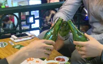 68% người uống rượu bia tự lái xe về nhà
