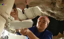 Nông hộ chuẩn bị để xuất khẩu sữa sang Trung Quốc
