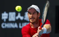 Andy Murray leo hơn 200 bậc trên bảng xếp hạng ATP