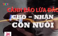 Cảnh báo lừa đảo cho, nhận con nuôi