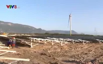Khẩn trương giải tỏa công suất các dự án điện mặt trời tại Ninh Thuận