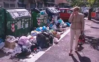Italy: Chuột hoành hành ở Rome do khủng hoảng rác