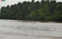 Khẩn trương điều tra, xác định nguyên nhân vụ chìm sà lan trên kênh Chợ Gạo
