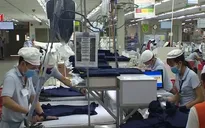Thủ tướng phê duyệt chương trình "Thương hiệu quốc gia Việt Nam"