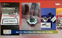 Ma túy học đường: Nỗi lo của xã hội