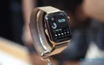 Watch Series 5 chính hãng bán ra tại Việt Nam có giá từ 11,99 triệu đồng