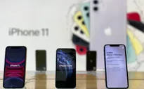Hôm nay (1/11), iPhone 11 chính hãng lên kệ tại Việt Nam, giá từ 21,99 triệu đồng