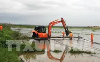Khắc phục sự cố lưới điện sau bão số 5