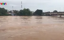 Cuộc sống của người dân Quảng Ngãi đảo lộn do mưa lũ