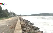 Nguy cơ thiệt hại nặng nề các tuyến đê kè ở Quảng Ngãi do bão số 6