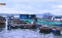 Khánh Hòa cấm biển, cho học sinh nghỉ 2 ngày tránh bão số 6