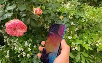 Top 6 smartphone hấp dẫn người dùng nhất hiện giờ