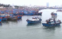 Lên kế hoạch di dời 150.000 dân các tỉnh miền Trung để ứng phó bão số 6