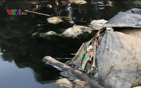 Ô nhiễm kênh Bắc Hưng Hải ảnh hưởng đến cuộc sống của hàng nghìn hộ dân