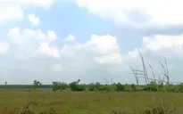 Hoàn thành kiểm đếm đất ở dự án sân bay Long Thành trong tháng 11/2019