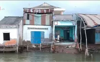 Ảnh hưởng nghiêm trọng sinh hoạt và sản xuất do sạt lở tại Cà Mau