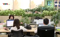 Xu hướng xanh hóa văn phòng làm việc