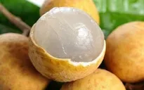Bé trai 2 tuổi tử vong thương tâm vì hóc hột nhãn