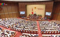Kỳ họp thứ 8 Quốc hội khóa XIV: Cần quan tâm đến chất lượng đại biểu