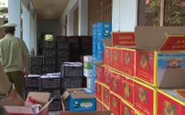 Bình Phước tiêu hủy hơn 2 tấn trái cây nhập lậu
