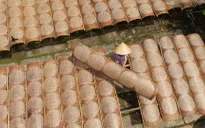 Làng nghề bánh tráng Cù Lao Mây mong vụ Tết