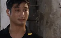 Hoa hồng trên ngực trái - Tập 29: Thái cầu xin Khuê đừng giành quyền nuôi Bống