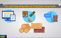Kiểm soát năng lực sản xuất của doanh nghiệp, phòng tránh gian lận xuất xứ