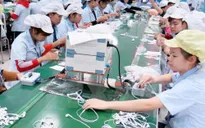 TP.HCM khảo sát tình hình lương, thưởng Tết Canh Tý 2020