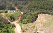 Lâm Đồng khẳng định Đại Hải farmstay phân lô đất rừng trái phép