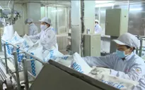 Không áp dụng hạn ngạch thuế quan nhập khẩu đường xuất xứ từ ASEAN