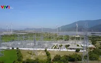 Phát triển Ninh Thuận trở thành trung tâm năng lượng tái tạo