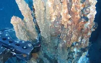 Mỹ mất phần tại cuộc đua khai thác "kho báu" 16.000 tỷ USD ở đáy biển