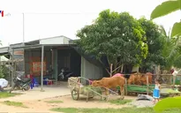 Người dân hưởng lợi từ tín dụng chính sách xã hội